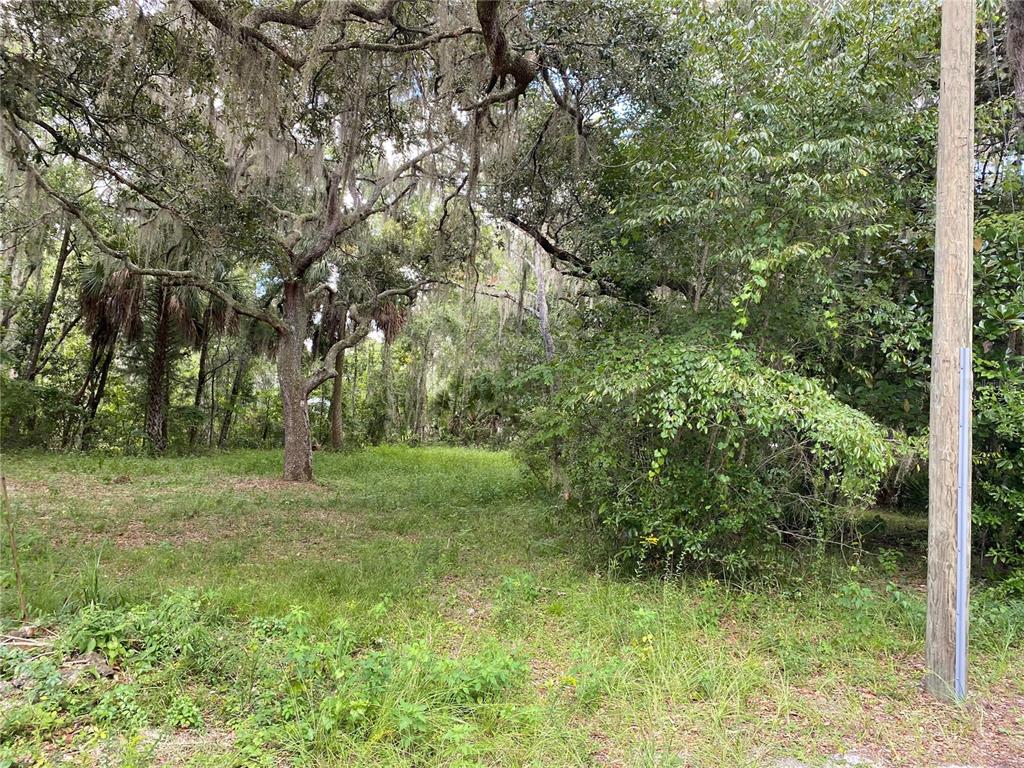 Property for sale at CR 448C, LAKE PANASOFFKEE, FL, 33538