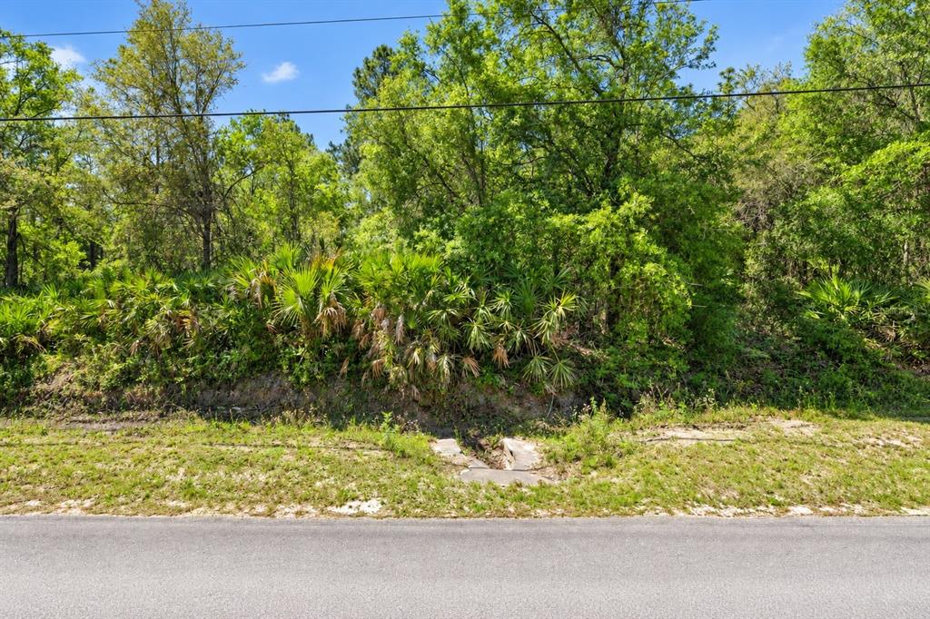 Property for sale at 2534 LANCEWOOD STREET, BUNNELL, FL, 32110