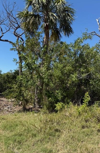 Property for sale at SEA BREEZE DRIVE, TARPON SPRINGS, FL, 34689
