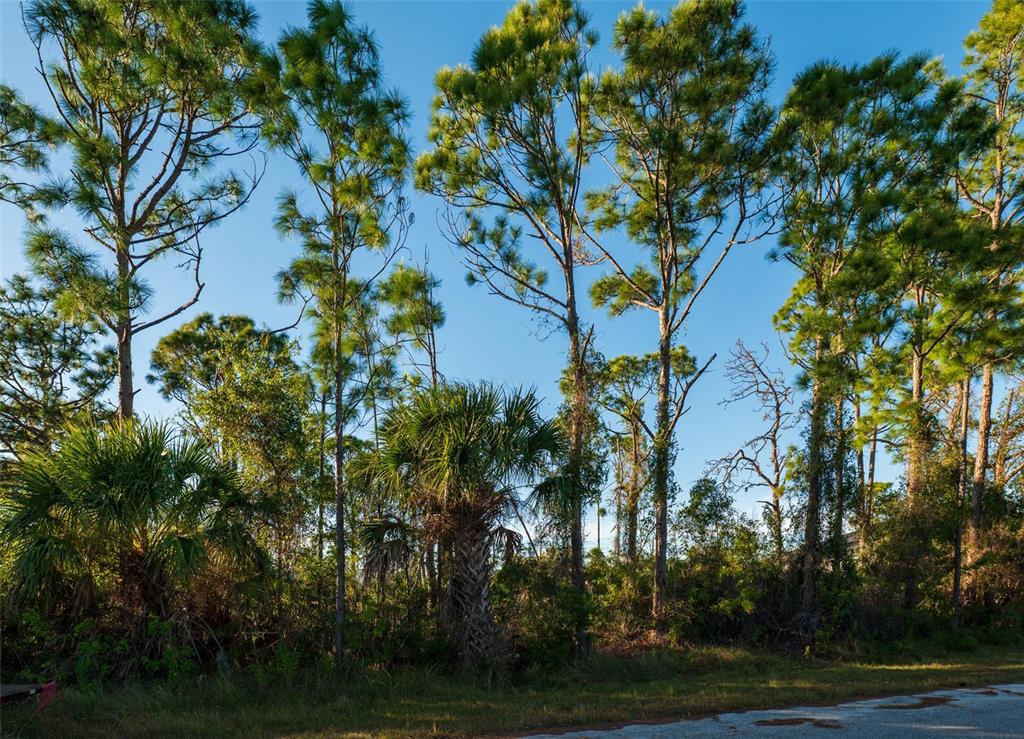 Property for sale at 8281 DIMSTEAD ST., PORT CHARLOTTE, FL, 33981