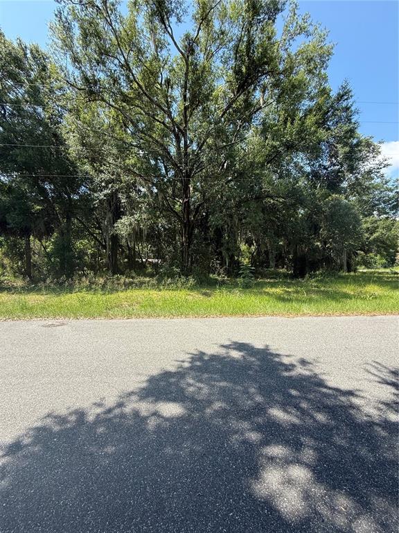 Property for sale at 1101 E MAGNOLIA STREET, LEESBURG, FL, 34748