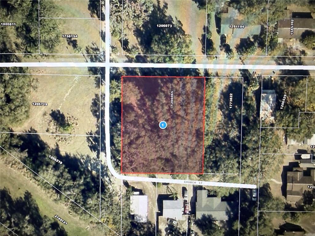 Property for sale at 1101 E MAGNOLIA STREET, LEESBURG, FL, 34748