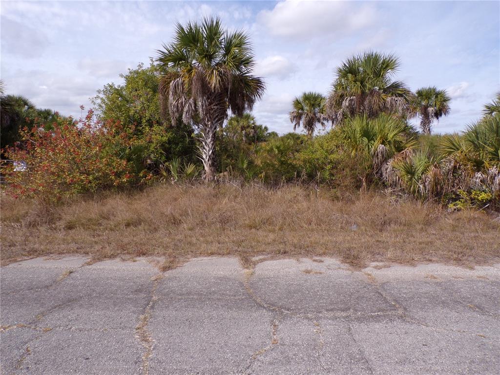 Property for sale at FIREGLOW CIRCLE, NORTH PORT, FL, 34288
