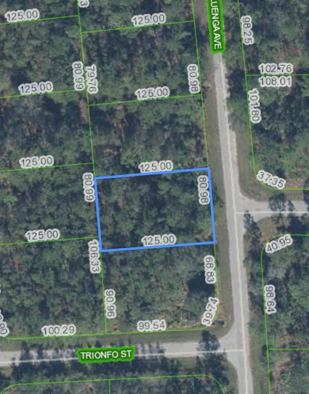 Property for sale at 5119 LUENGA AVENUE, SEBRING, FL, 33872