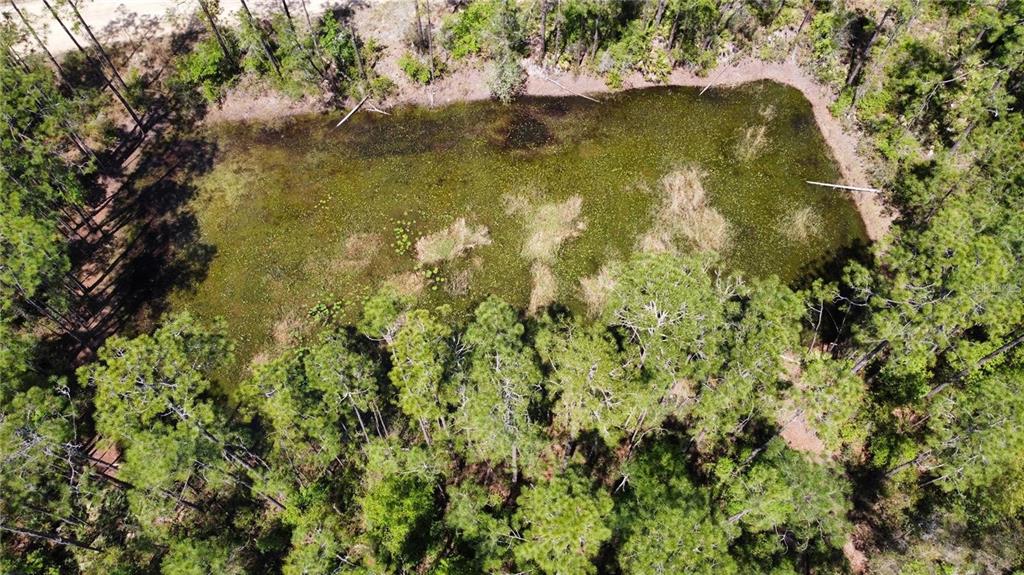 Property for sale at 206 HUDSON STREET, INTERLACHEN, FL, 32148