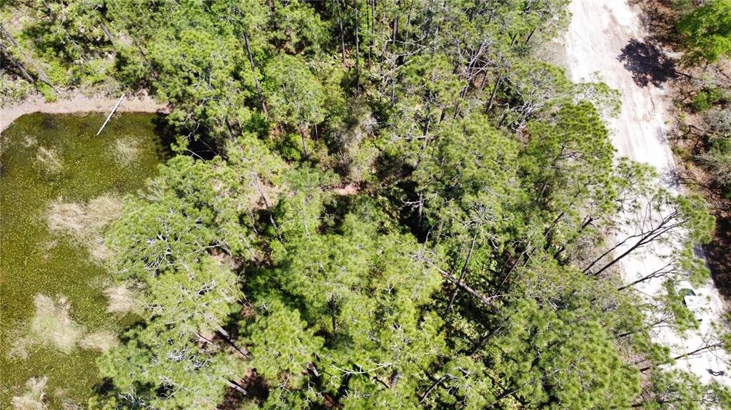 Property for sale at 206 HUDSON STREET, INTERLACHEN, FL, 32148