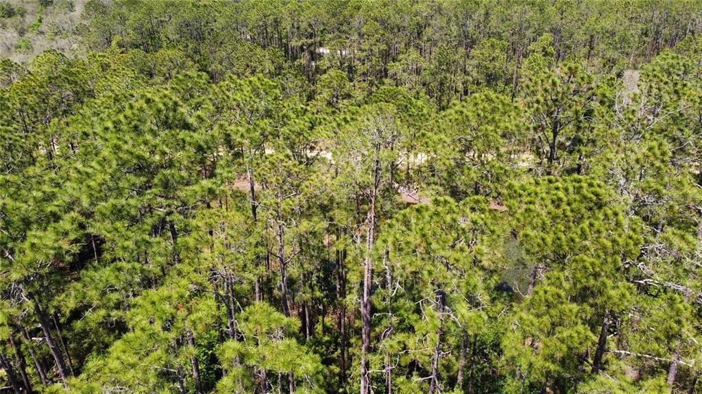 Property for sale at 206 HUDSON STREET, INTERLACHEN, FL, 32148