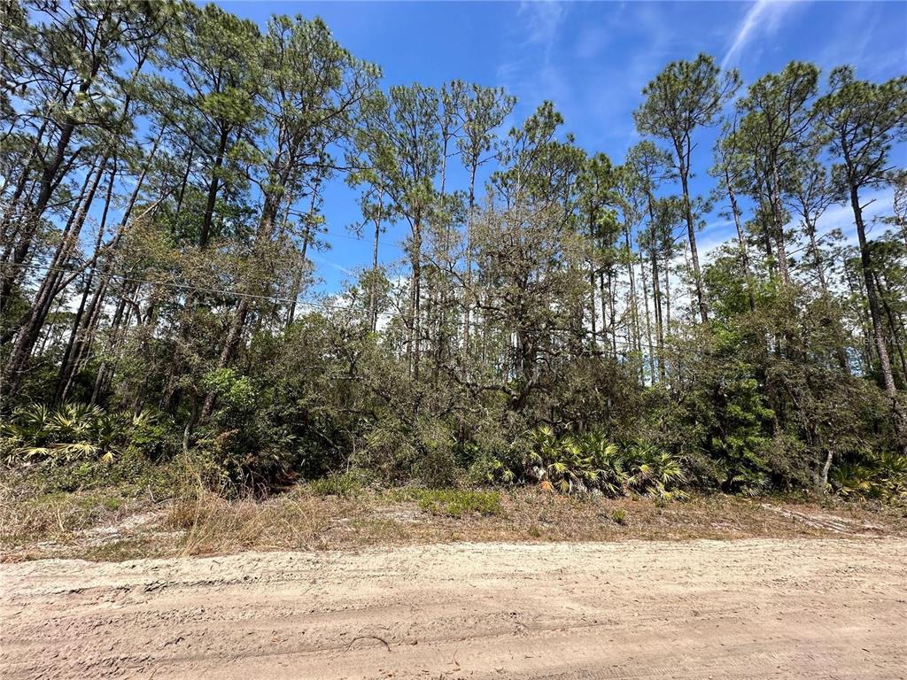 Property for sale at 206 HUDSON STREET, INTERLACHEN, FL, 32148