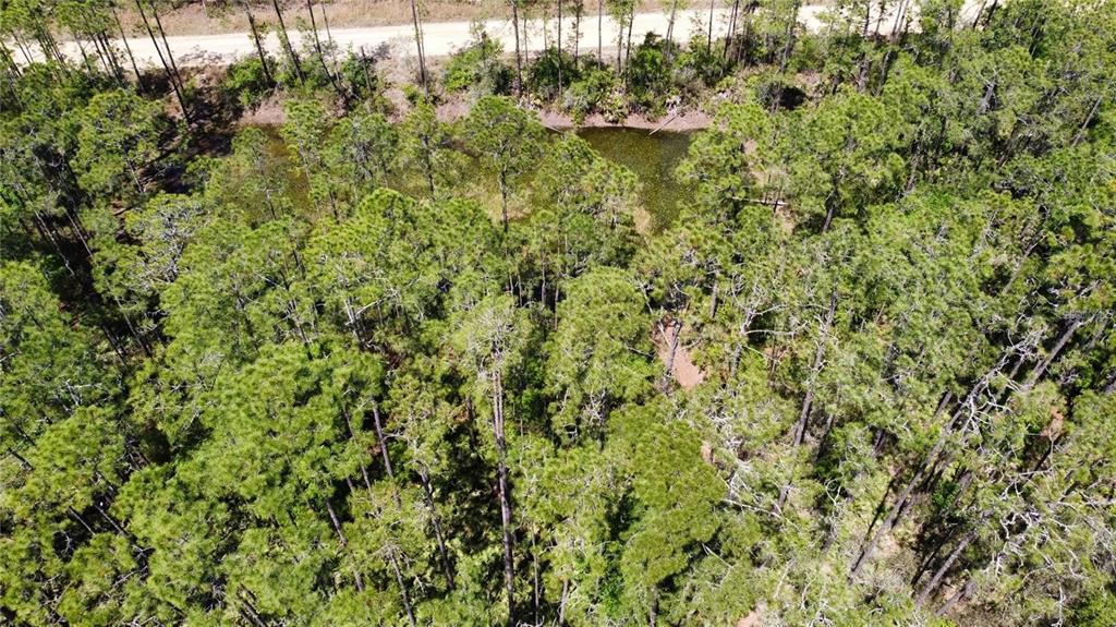 Property for sale at 206 HUDSON STREET, INTERLACHEN, FL, 32148