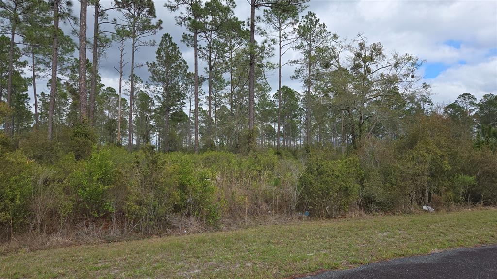 Property for sale at Lot 9 NW NATALIE WAY, LAKE CITY, FL, 32055