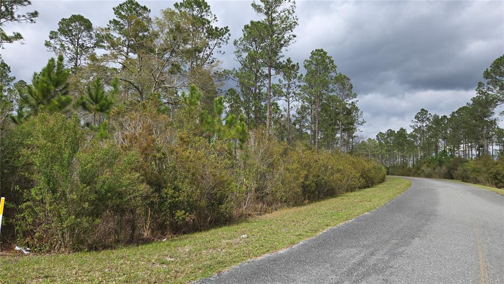 Property for sale at Lot 9 NW NATALIE WAY, LAKE CITY, FL, 32055