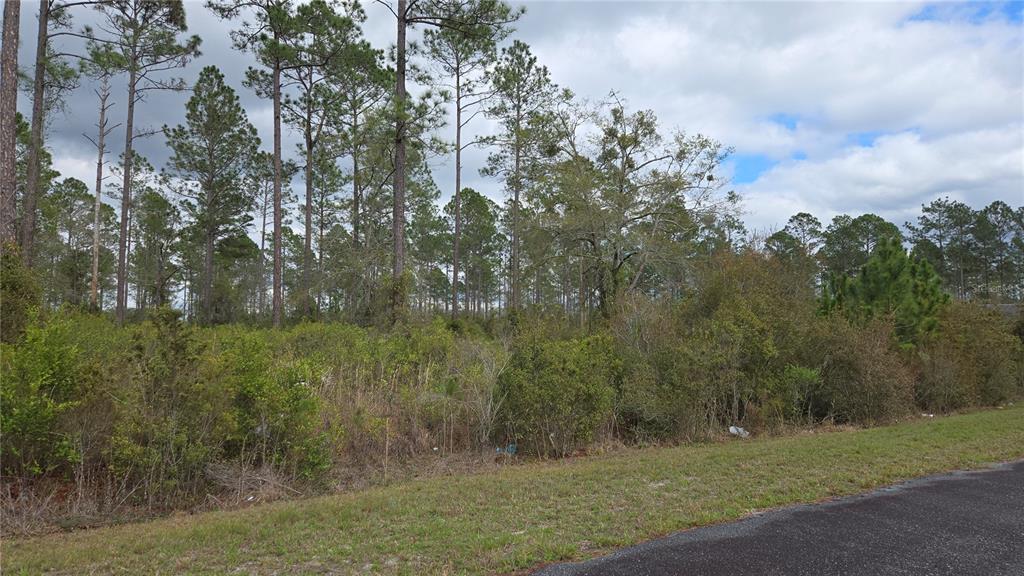 Property for sale at Lot 9 NW NATALIE WAY, LAKE CITY, FL, 32055