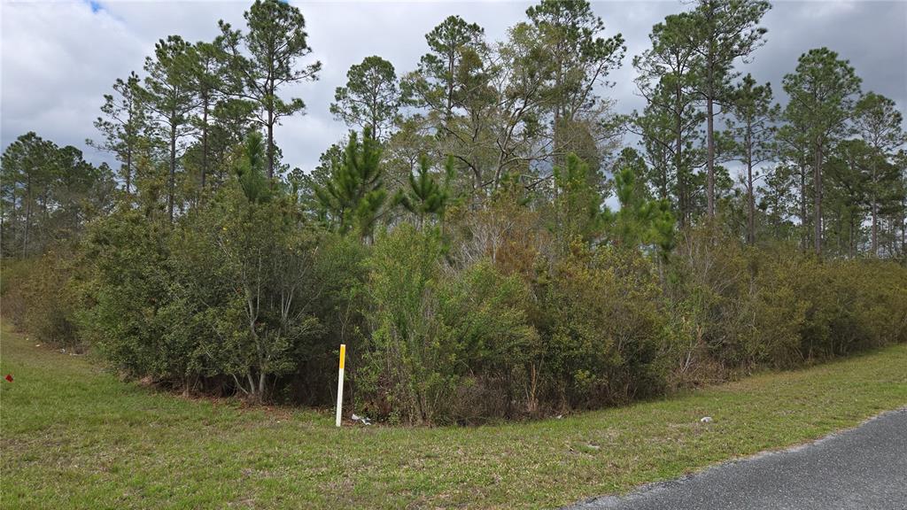 Property for sale at Lot 9 NW NATALIE WAY, LAKE CITY, FL, 32055
