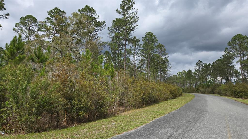 Property for sale at Lot 9 NW NATALIE WAY, LAKE CITY, FL, 32055
