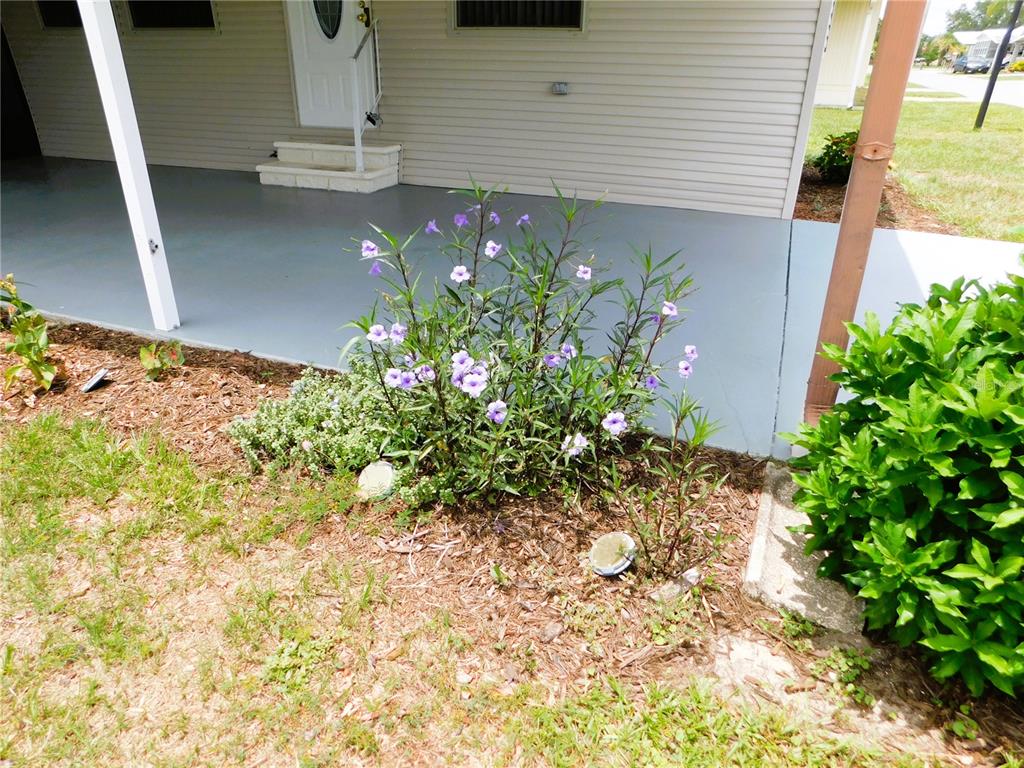 Property for sale at 5315 ANTIGUA DRIVE, ZEPHYRHILLS, FL, 33541