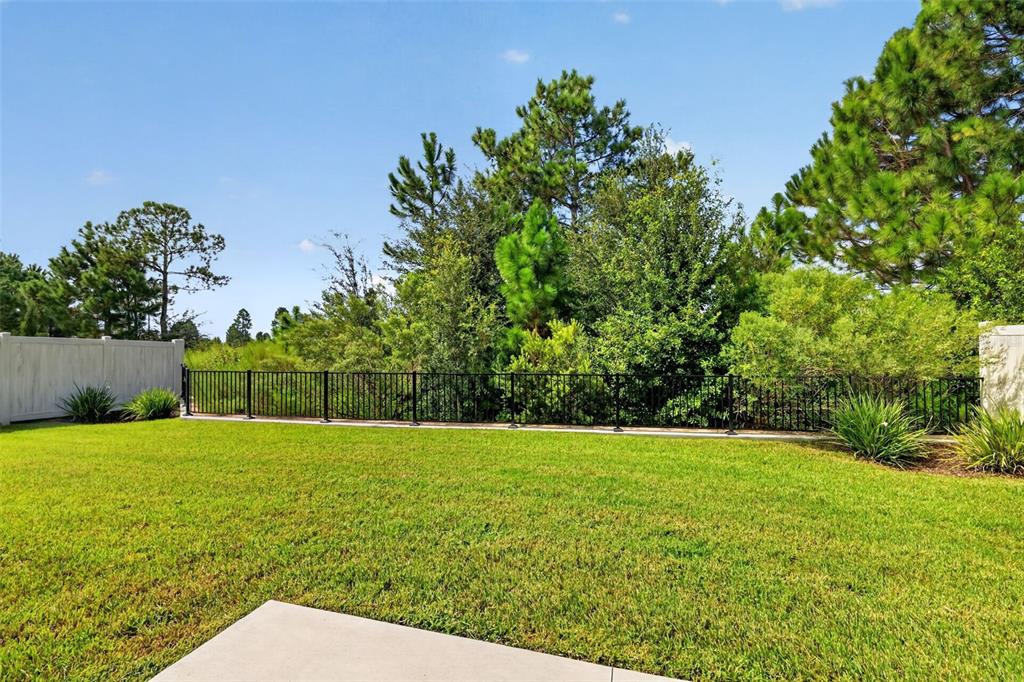 PRIVATE, ENCLOSED Rear Yard with Tranquil Eagle Preserve Views and ROOM FOR A POOL!