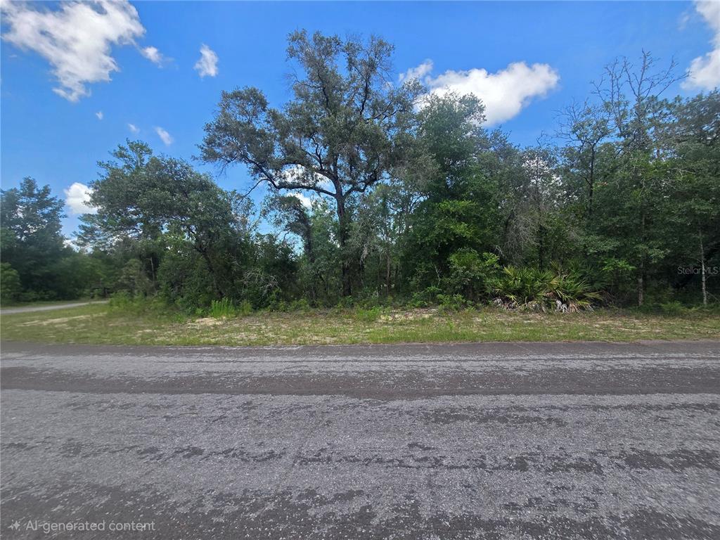 Property for sale at 8365 N IBSEN DRIVE, CITRUS SPRINGS, FL, 34433