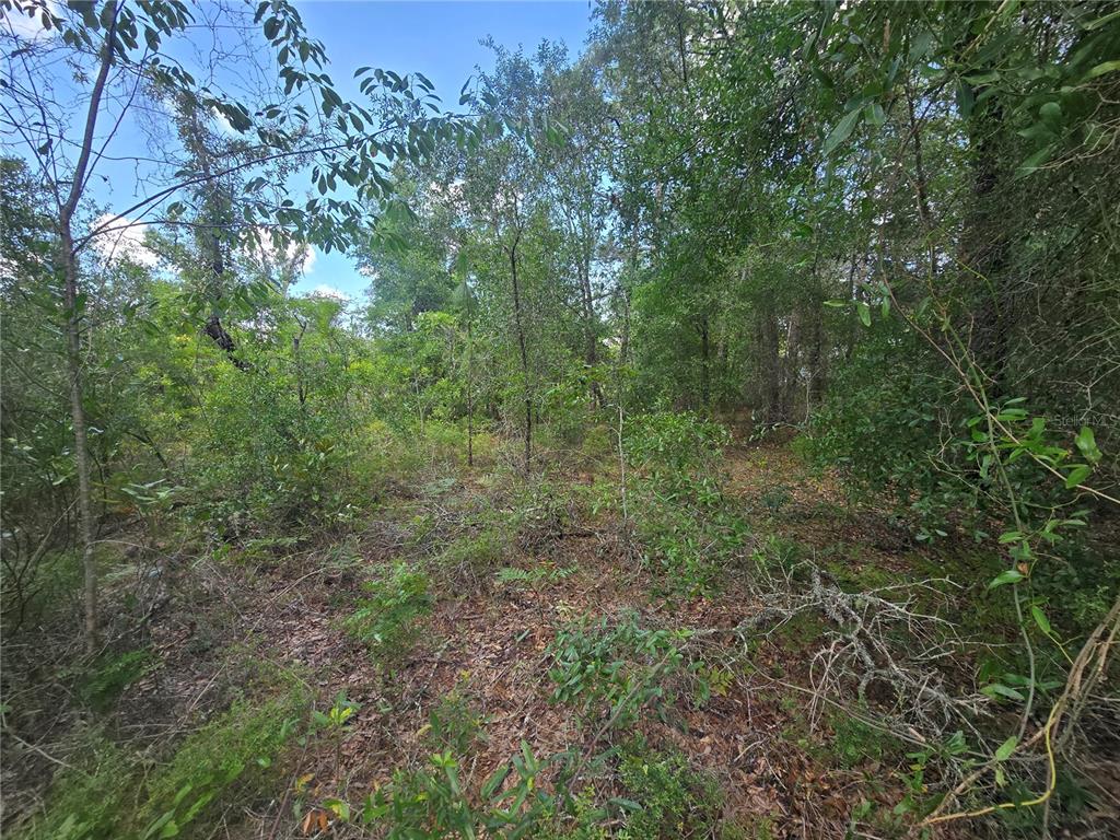 Property for sale at 8365 N IBSEN DRIVE, CITRUS SPRINGS, FL, 34433