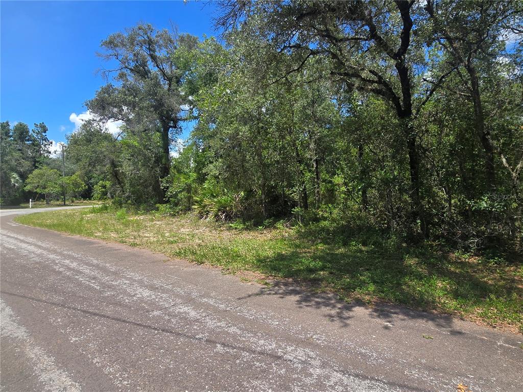 Property for sale at 8365 N IBSEN DRIVE, CITRUS SPRINGS, FL, 34433