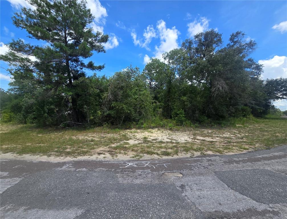 Property for sale at 8365 N IBSEN DRIVE, CITRUS SPRINGS, FL, 34433