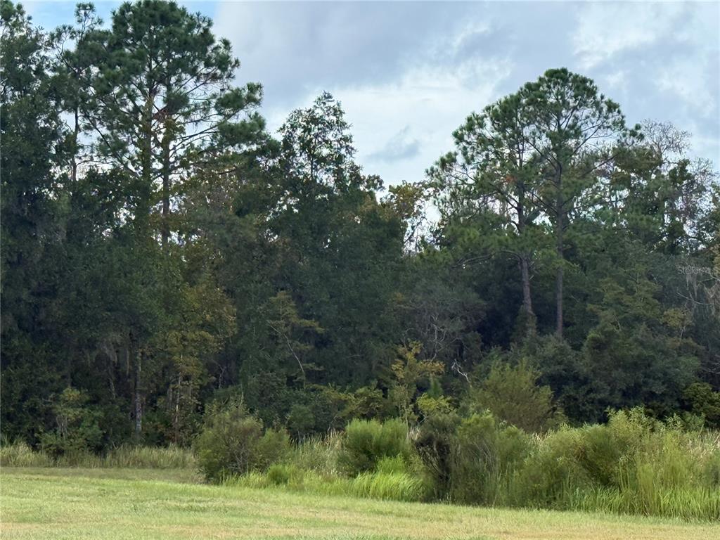 Property for sale at 10855 W HOMOSASSA TRAIL, HOMOSASSA, FL, 34448
