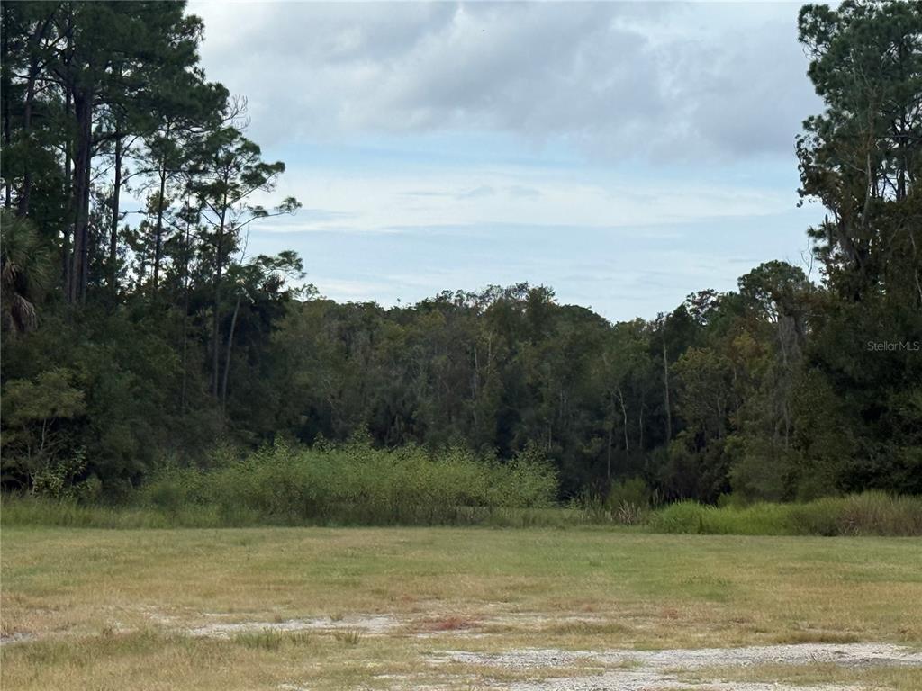 Property for sale at 10855 W HOMOSASSA TRAIL, HOMOSASSA, FL, 34448