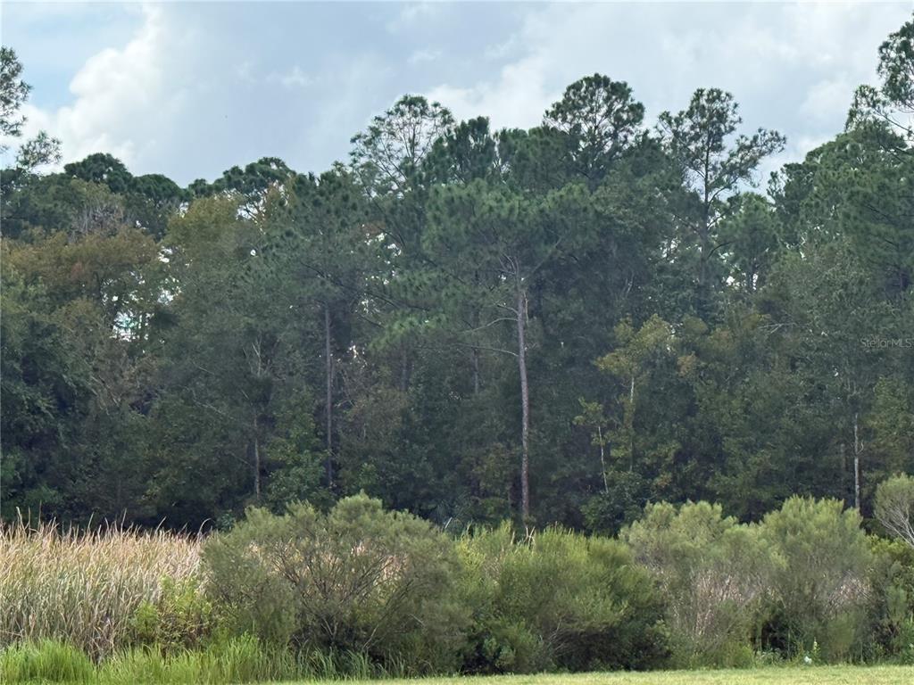 Property for sale at 10855 W HOMOSASSA TRAIL, HOMOSASSA, FL, 34448
