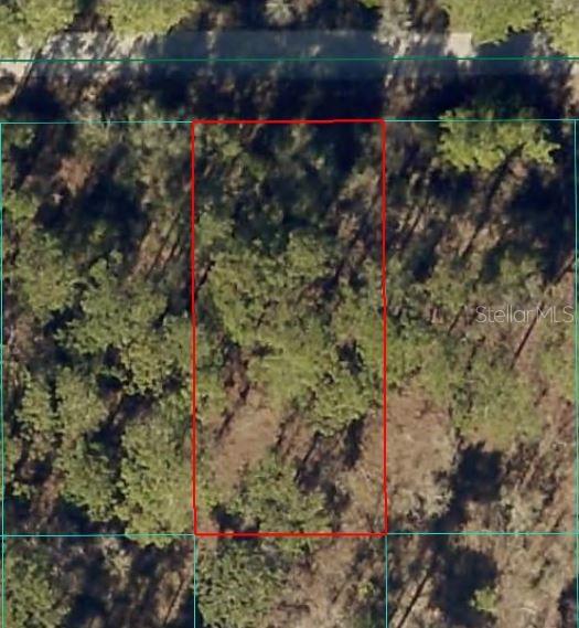 Property for sale at 24394 NW WATER OAK AVENUE, DUNNELLON, FL, 34431