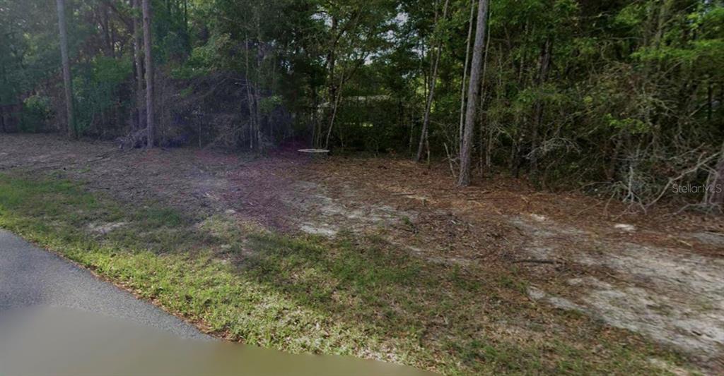 Property for sale at 1616 W DATURA LANE, CITRUS SPRINGS, FL, 34434