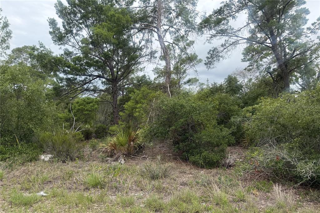 Property for sale at 105 HOOVER AVENUE NE, LAKE PLACID, FL, 33852