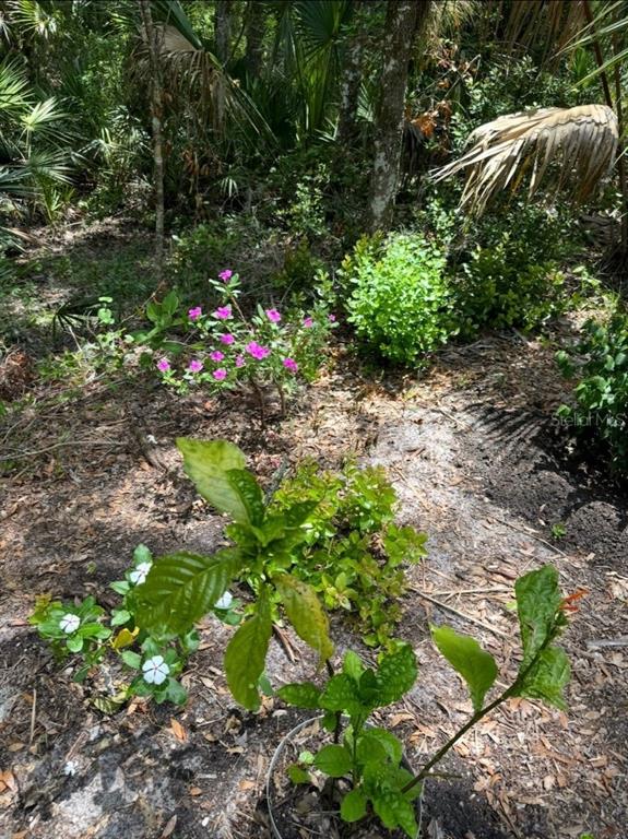 Property for sale at 901 SHOALS LANDING DRIVE, BRANDON, FL, 33511