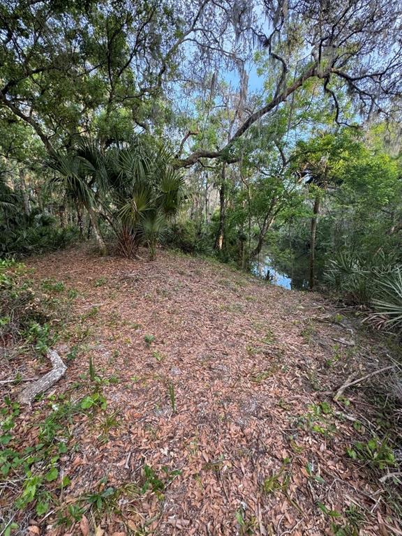 Property for sale at 901 SHOALS LANDING DRIVE, BRANDON, FL, 33511