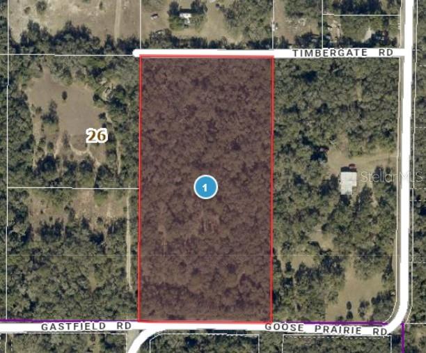 Property for sale at 10755 GOOSE PRAIRIE ROAD, LEESBURG, FL, 34788