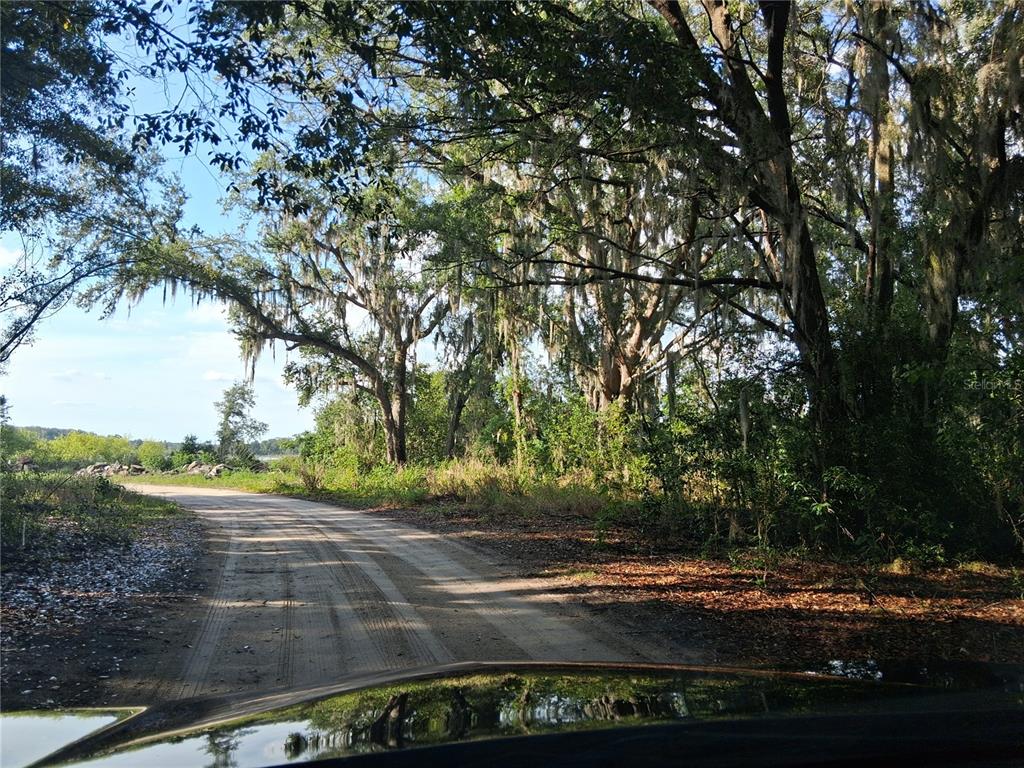 Property for sale at 16451 FORREST LANE, GROVELAND, FL, 34736
