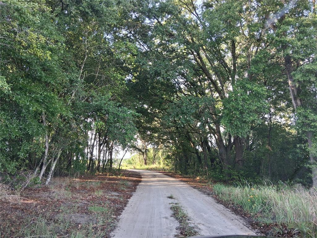 Property for sale at 16451 FORREST LANE, GROVELAND, FL, 34736