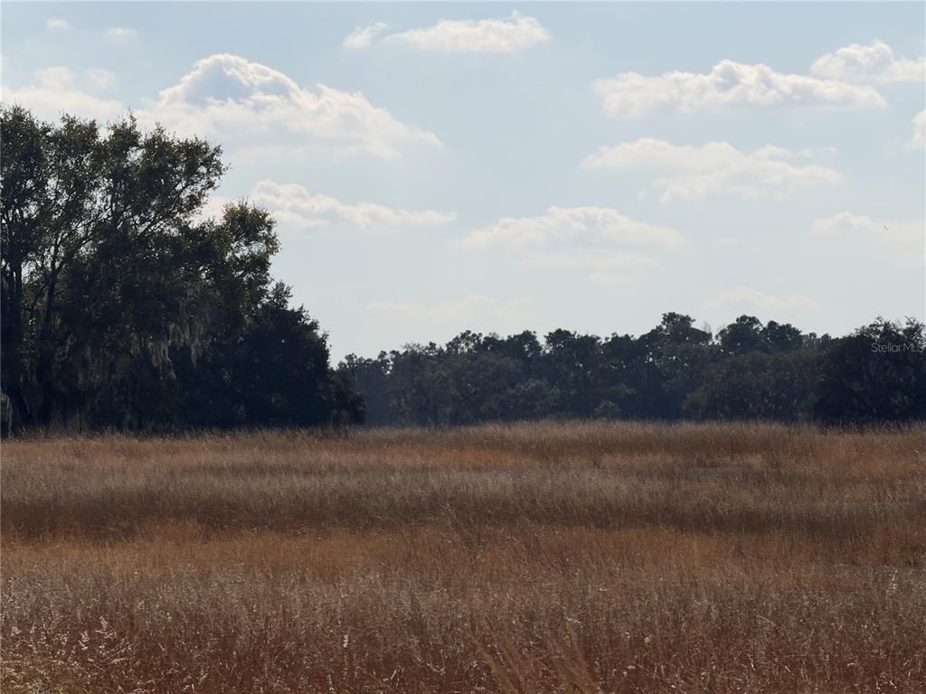 Property for sale at LAKE ERIE, GROVELAND, FL, 34736