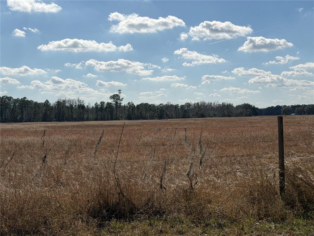 Property for sale at LAKE ERIE, GROVELAND, FL, 34736