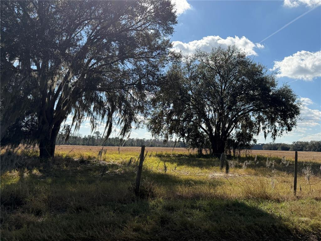 Property for sale at LAKE ERIE, GROVELAND, FL, 34736