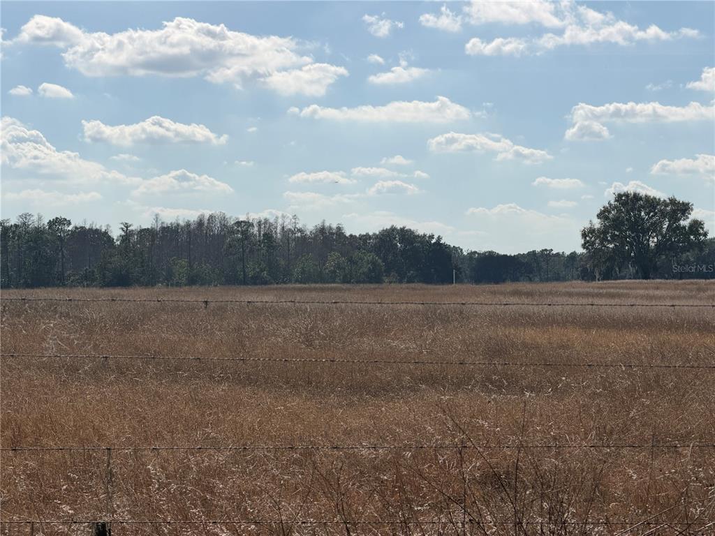 Property for sale at LAKE ERIE, GROVELAND, FL, 34736