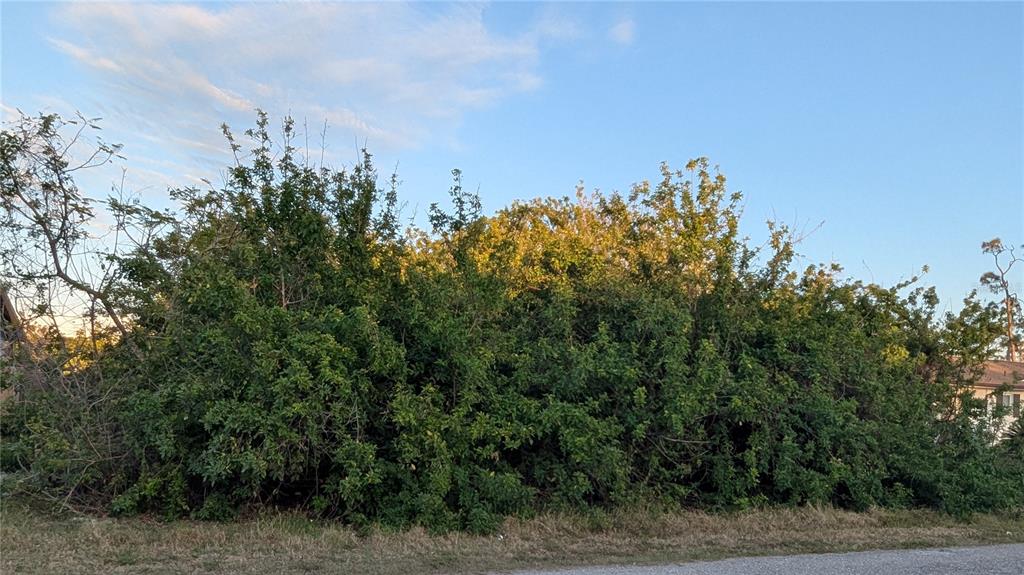 Property for sale at 4026 MCINTIRE STREET, PORT CHARLOTTE, FL, 33948