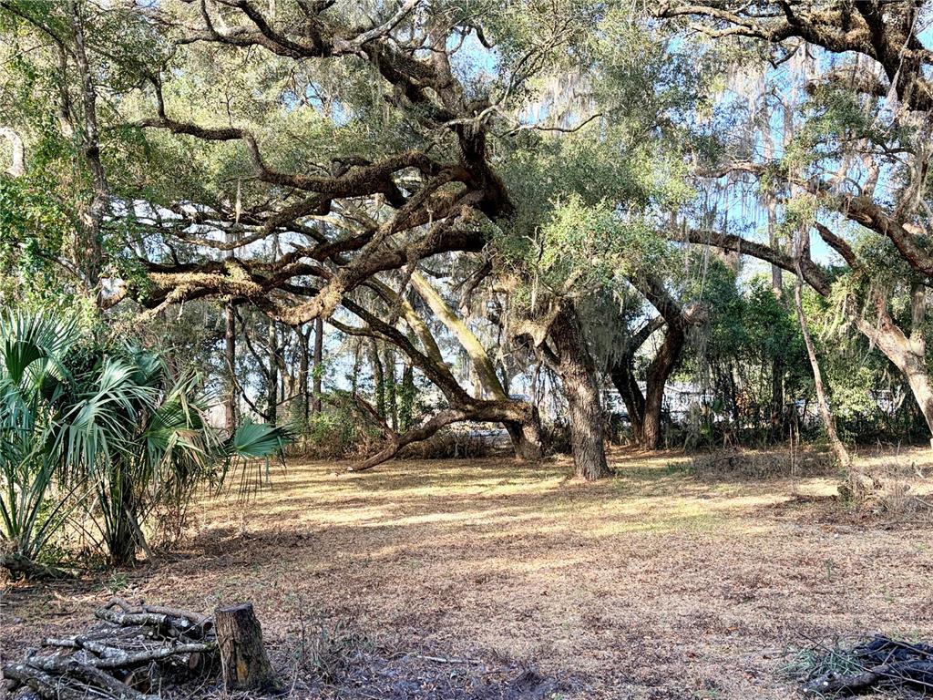 Property for sale at 5666 S FLORIDA AVENUE, FLORAL CITY, FL, 34436