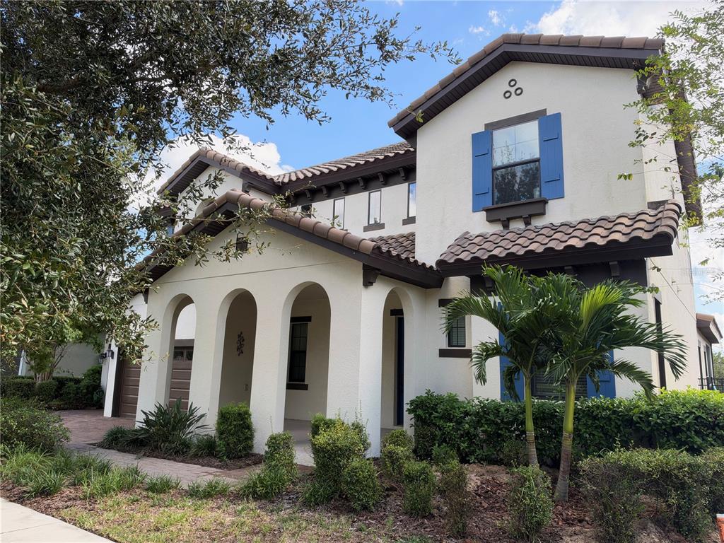 Freshly Painted Shutters & New Palm