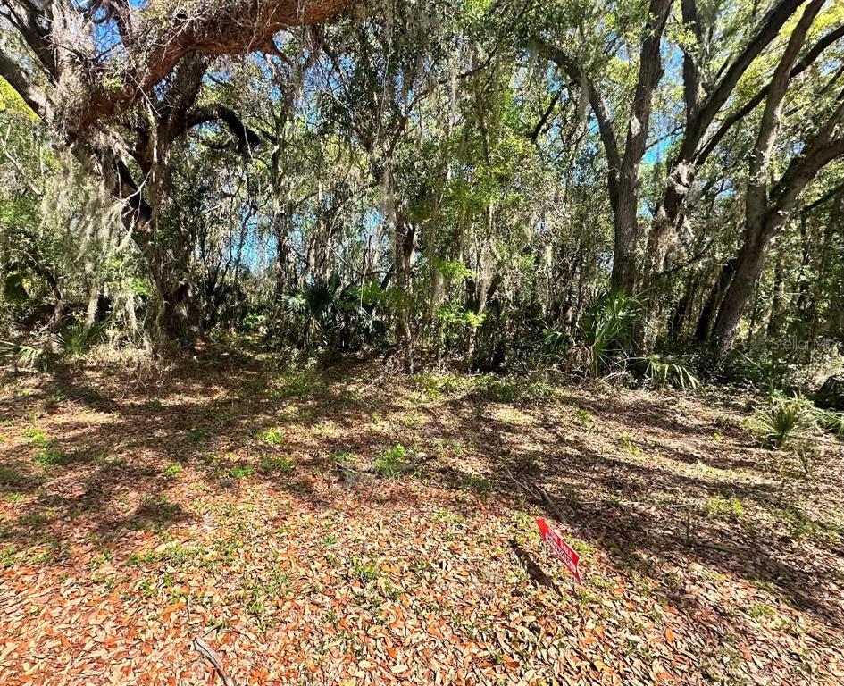 Property for sale at GUAVA TERRACE, OCKLAWAHA, FL, 32179