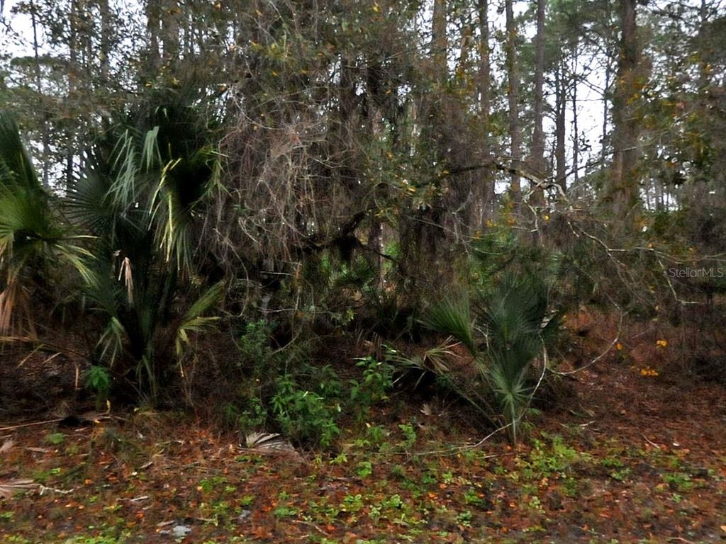 Property for sale at NEON AVENUE, NORTH PORT, FL, 34291