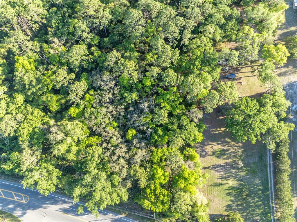 Property for sale at TBD COUNTY ROAD 48, YALAHA, FL, 34797