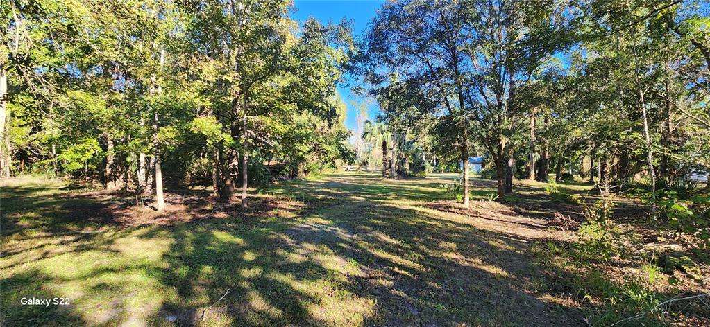 Property for sale at 680 E BLACK POINT ROAD, BUNNELL, FL, 32110