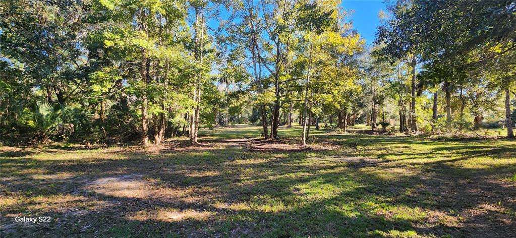 Property for sale at 680 E BLACK POINT ROAD, BUNNELL, FL, 32110