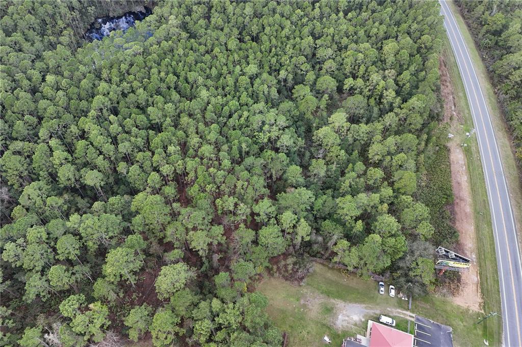 Property for sale at 12260 E HWY 40, SILVER SPRINGS, FL, 34488