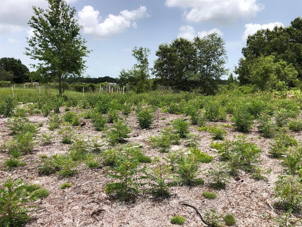 Property for sale at DUCK KEY STREET, LAKE WALES, FL, 33859