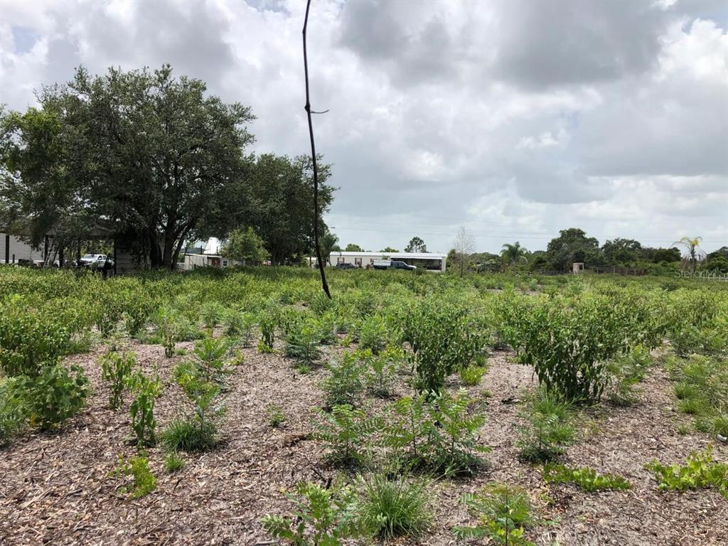 Property for sale at DUCK KEY STREET, LAKE WALES, FL, 33859